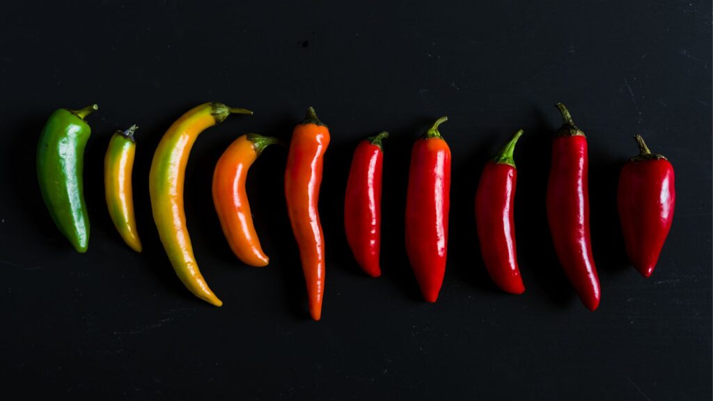 An assortment of chili peppers in various colors, including red, green, yellow, and orange, lined up on a black background.