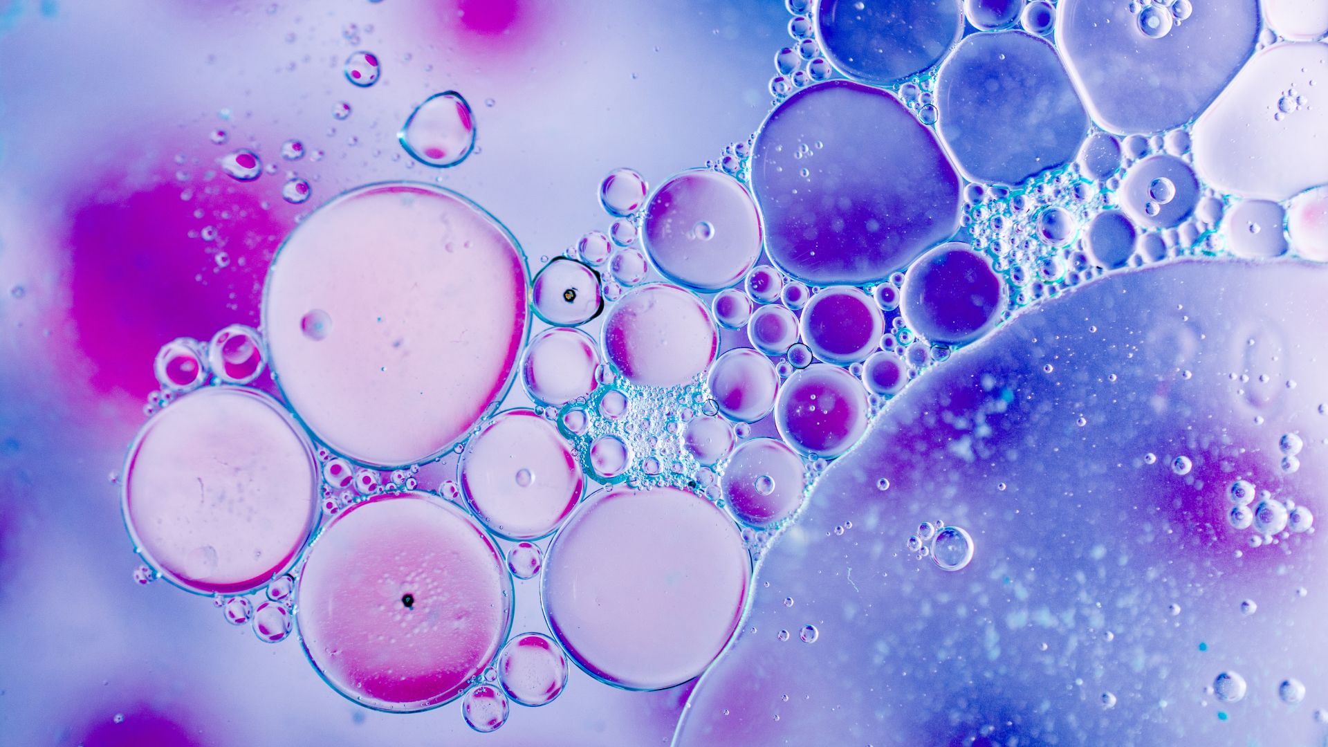 Close-up micrograph of an emulsion showing tiny droplets suspended in a continuous liquid phase. The droplets are colored pink and blue to highlight the separation of phases in the emulsion.