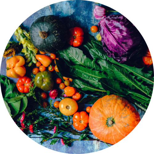 Fall Recipes